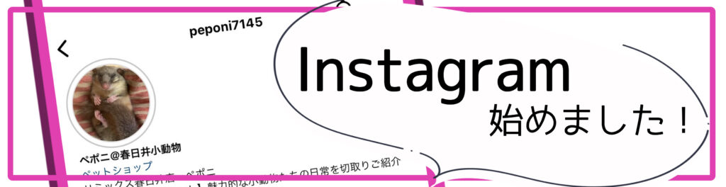 【春日井】Instagram始めました！